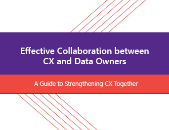 Effective Collaboration Between CX and Data Owners: A Guide to Strengthening CX Together