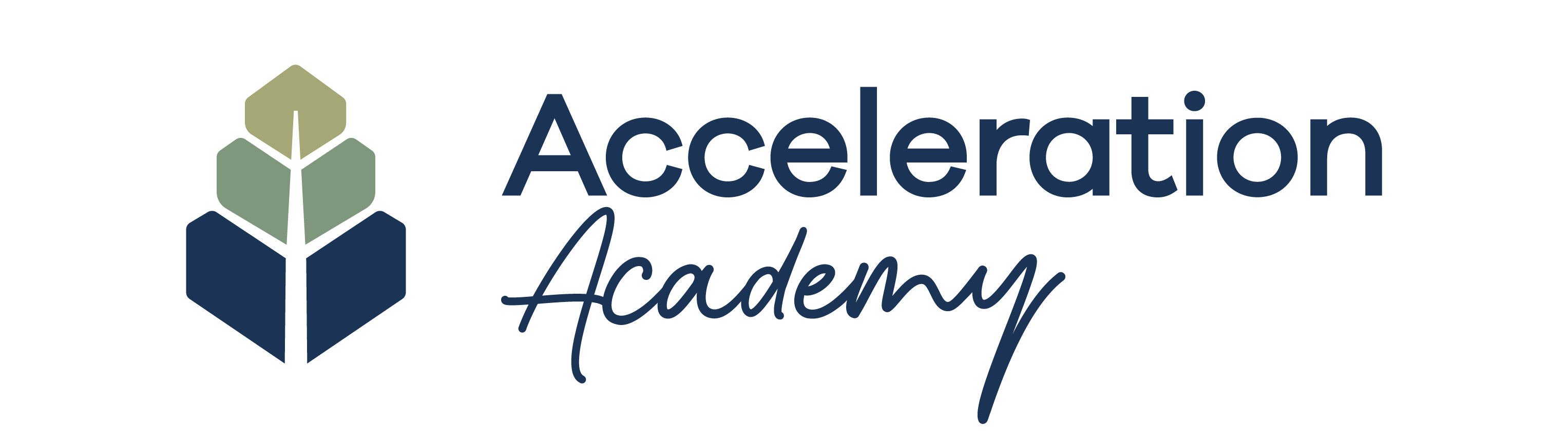 Acceleration Strategy